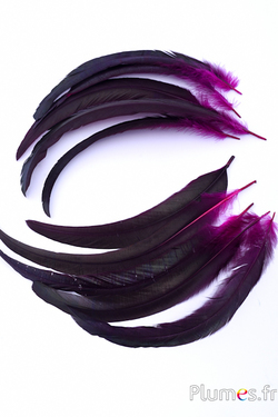 Coq fouet - 25-30 cm - noir-fuchsia